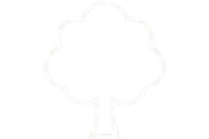 Rizikové<br>kácení stromů